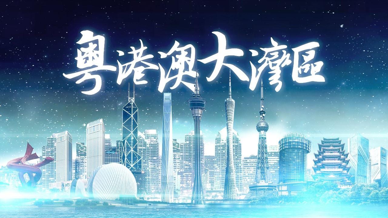 2025年香港正版免費(fèi)資料全面解析，香港正版免費(fèi)資料全面解析（2025版）