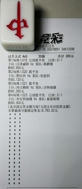 揭秘買一肖中獎(jiǎng)的賠率與風(fēng)險(xiǎn)，你真的準(zhǔn)備好了嗎？，揭秘買一肖中獎(jiǎng)背后的賠率與風(fēng)險(xiǎn)，你真的做好準(zhǔn)備了嗎？