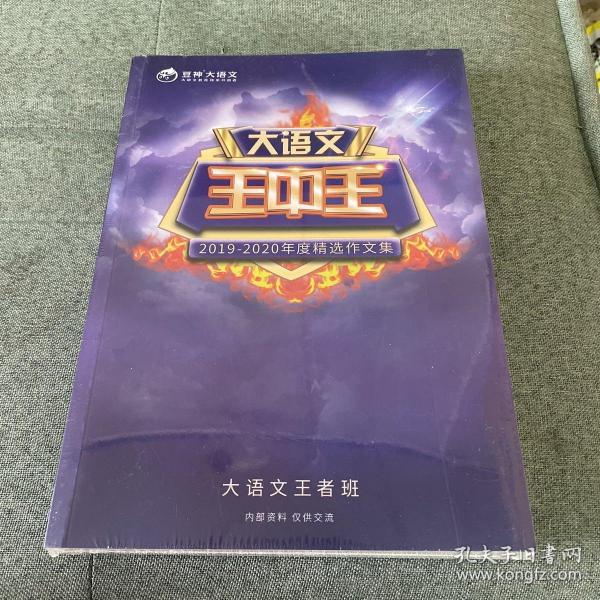 2019王中王資料解析，一肖中qr的秘密，揭秘王中王資料解析與一肖中qr的秘密，解密背后的真相
