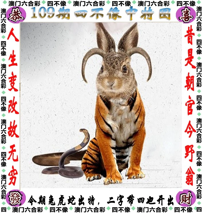 四不像王中王資料一肖，深度解析與探索，四不像王中王資料一肖，深度解析與探索揭秘
