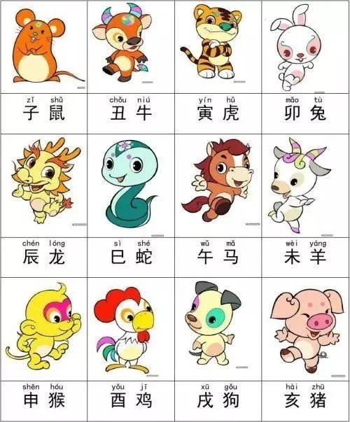 一肖有哪幾個生肖，生肖一肖包含哪些生肖