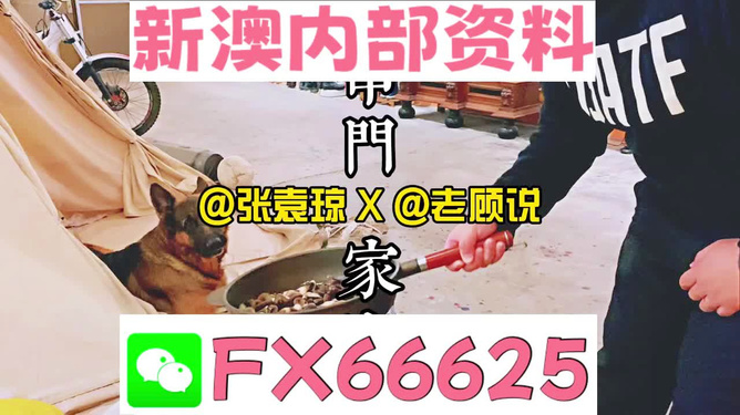 新澳門精準(zhǔn)資料大全，管家婆料解析與探索，澳門精準(zhǔn)資料大全，管家婆料解析與深度探索