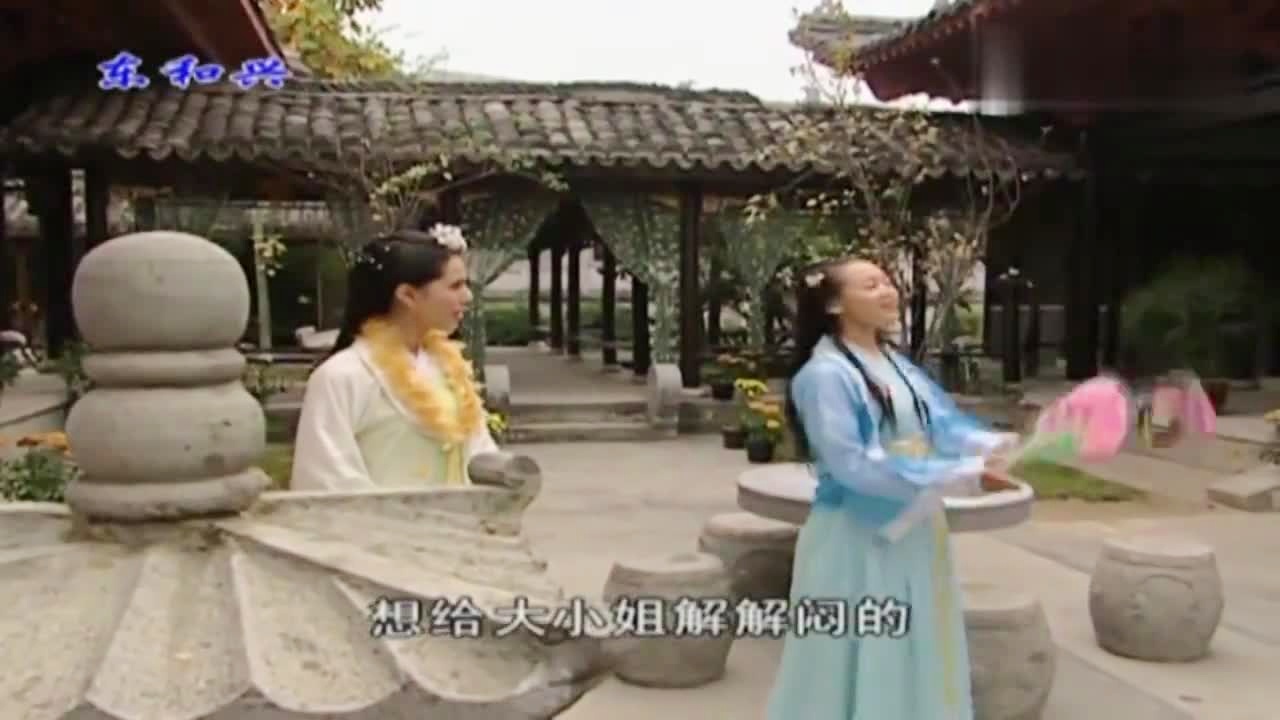 劉伯溫白小姐一肖期期準(zhǔn)，神秘預(yù)測(cè)背后的真相，劉伯溫白小姐生肖預(yù)測(cè)揭秘，神秘預(yù)測(cè)背后的真相