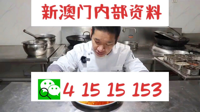 管家婆一肖資料大全，深度解析與探索，管家婆一肖資料深度解析與探索大全
