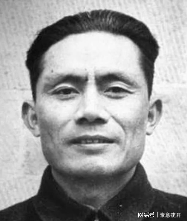 王中王平肖一特，聚焦關(guān)鍵詞背后的故事與成就，王中王平肖一特，關(guān)鍵詞背后的故事與輝煌成就