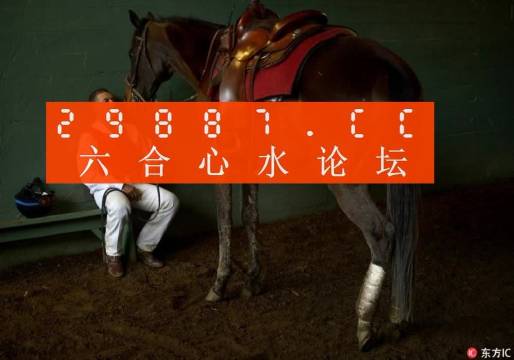 一肖一馬王中王一馬中特，深度解析與SEO優(yōu)化策略，一肖一馬王中王深度解析與SEO優(yōu)化策略探討