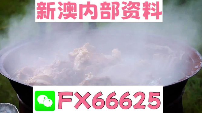 新澳全年免費(fèi)資料大全，一站式獲取優(yōu)質(zhì)資源指南，新澳全年優(yōu)質(zhì)資源免費(fèi)獲取指南