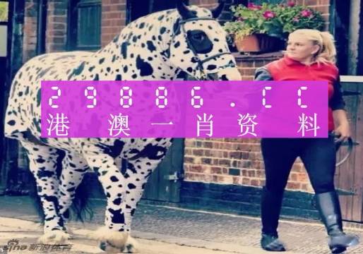 澳彩平肖王中王，一笑一碼的秘密與SEO優(yōu)化策略，澳彩平肖王中王，揭秘一笑一碼背后的SEO優(yōu)化策略