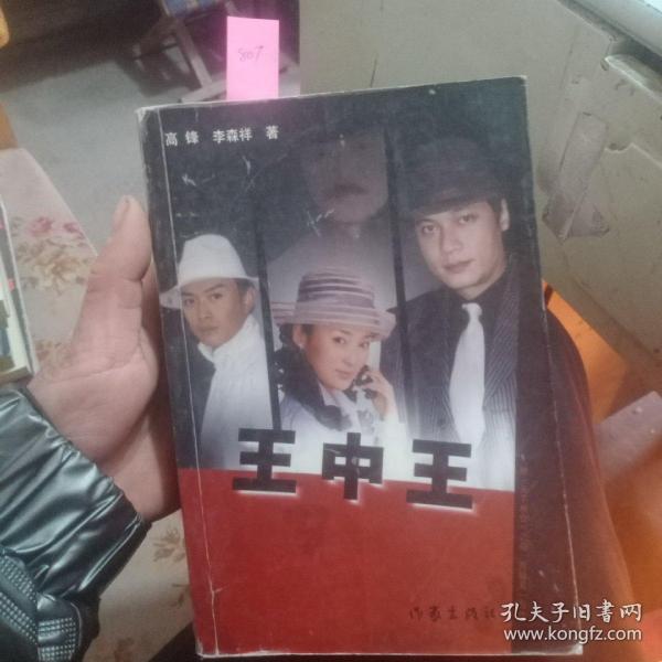 王中王資料一肖中天，深度解析與探索，王中王資料一肖中天，深度剖析與探索