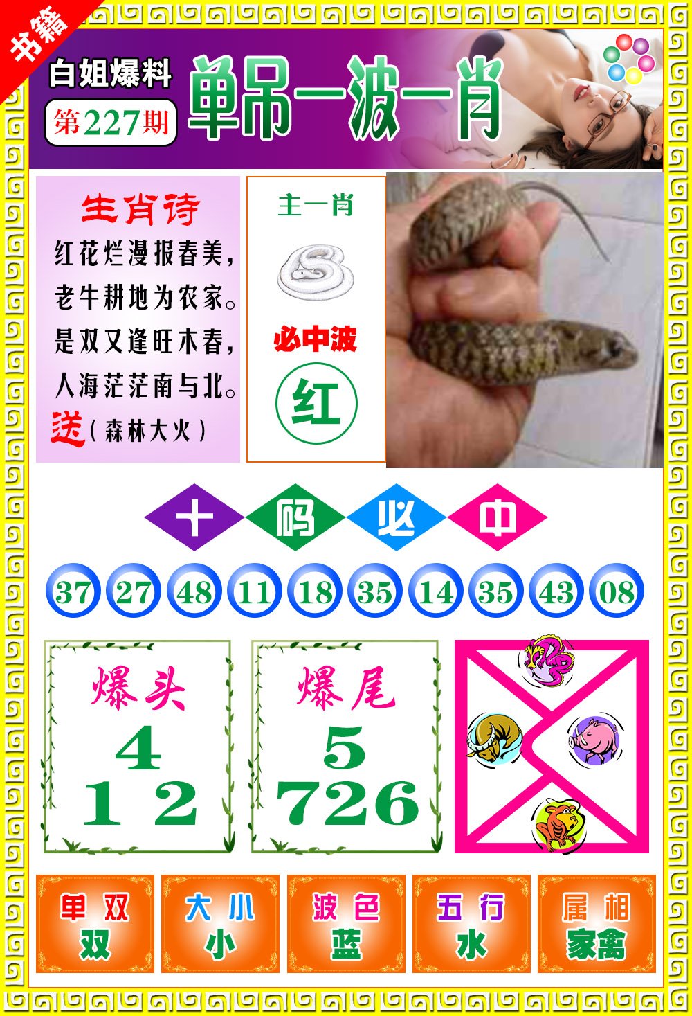 王中王免費(fèi)開(kāi)獎(jiǎng)一肖結(jié)果，揭秘彩票背后的秘密，揭秘王中王彩票開(kāi)獎(jiǎng)內(nèi)幕，一肖結(jié)果背后的秘密揭曉