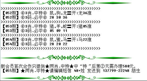 澳門必開一生一肖碼，揭秘背后的秘密與真相，澳門必開一生一肖碼揭秘內(nèi)幕與真相