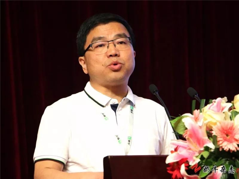 王中王一平特肖，揭秘第100期的秘密與策略，揭秘第100期秘密與策略，王中王一平特肖獨(dú)家解析