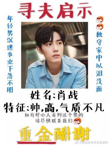 一肖一碼一一肖一子善，探尋命運(yùn)密碼與智慧之光的完美結(jié)合，命運(yùn)密碼與智慧之光，一肖一碼一一肖一子善的探尋