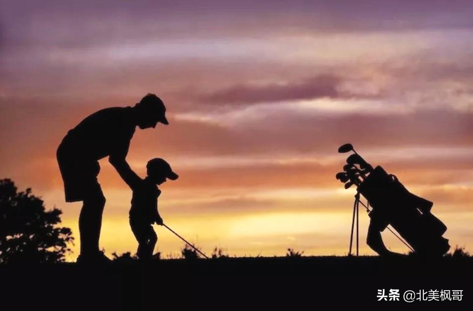森林高手王中王與神秘生肖——深度解讀背后的故事與秘密，森林高手王中王與神秘生肖，故事背后的深度解讀與秘密探尋
