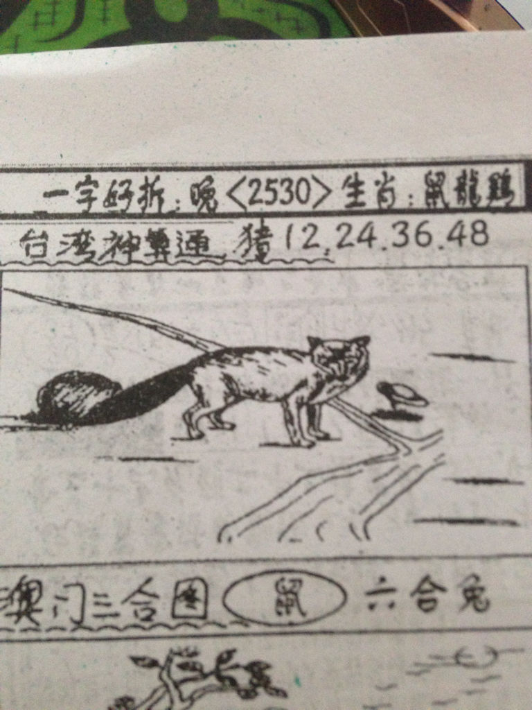 揭秘生肖奧秘，看圖猜一生肖劉伯溫的傳奇故事，揭秘生肖奧秘，劉伯溫傳奇故事中的生肖之謎探索