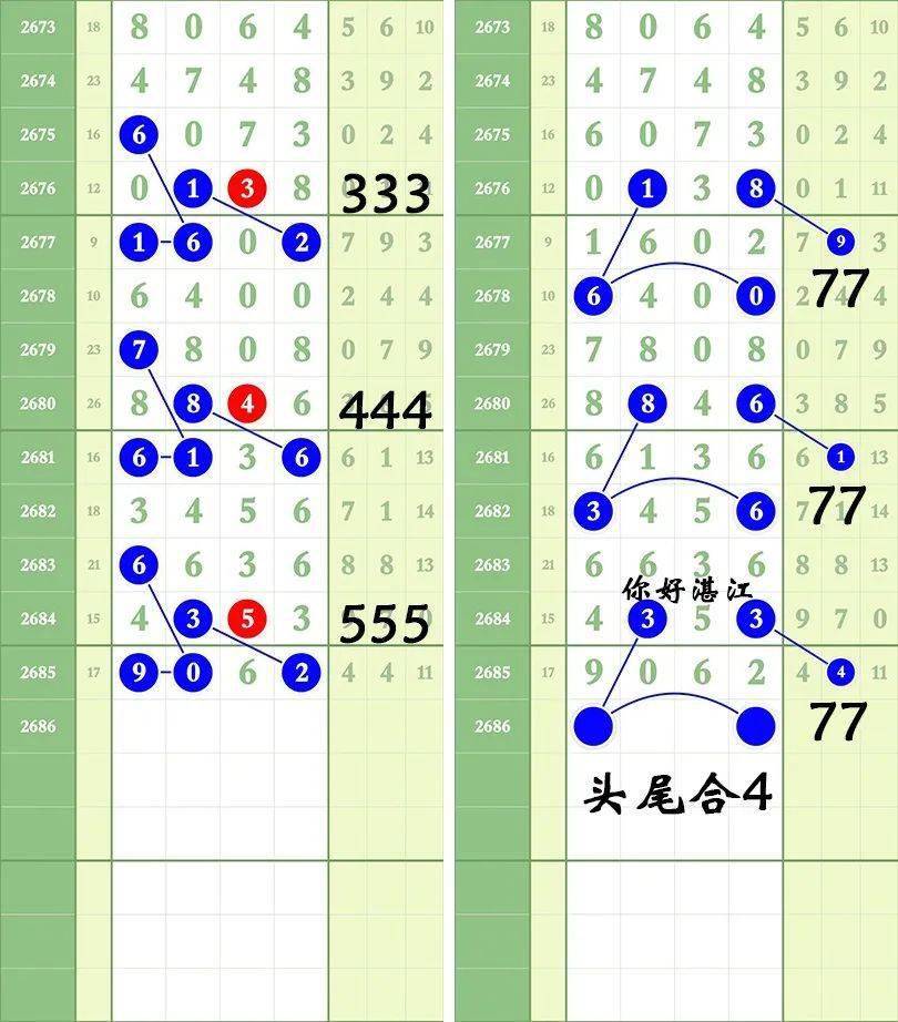 一肖三碼王中王絕密，揭秘背后的秘密與策略洞察，揭秘一肖三碼王中王絕密策略與背后秘密