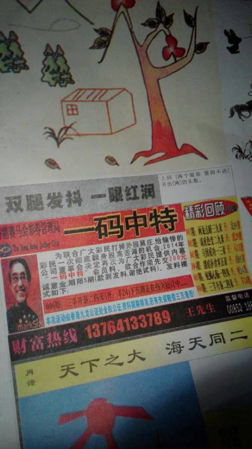 欲錢詩(shī)猜一肖——探尋王中王的奧秘，探尋王中王的奧秘，欲錢詩(shī)猜一肖