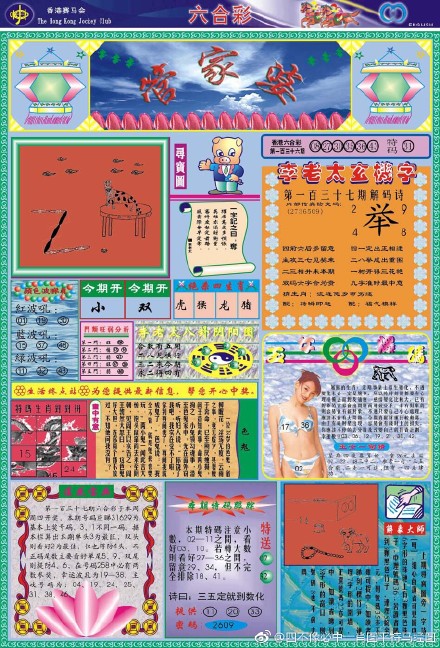 王中王四肖三期開特一，深度解析與探索，王中王四肖三期開特一，深度剖析與探索揭秘