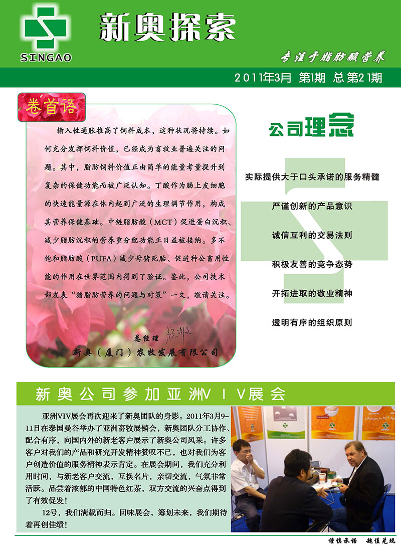 2025新澳正版資料精準(zhǔn)解析，2025新澳正版資料精準(zhǔn)解析手冊(cè)