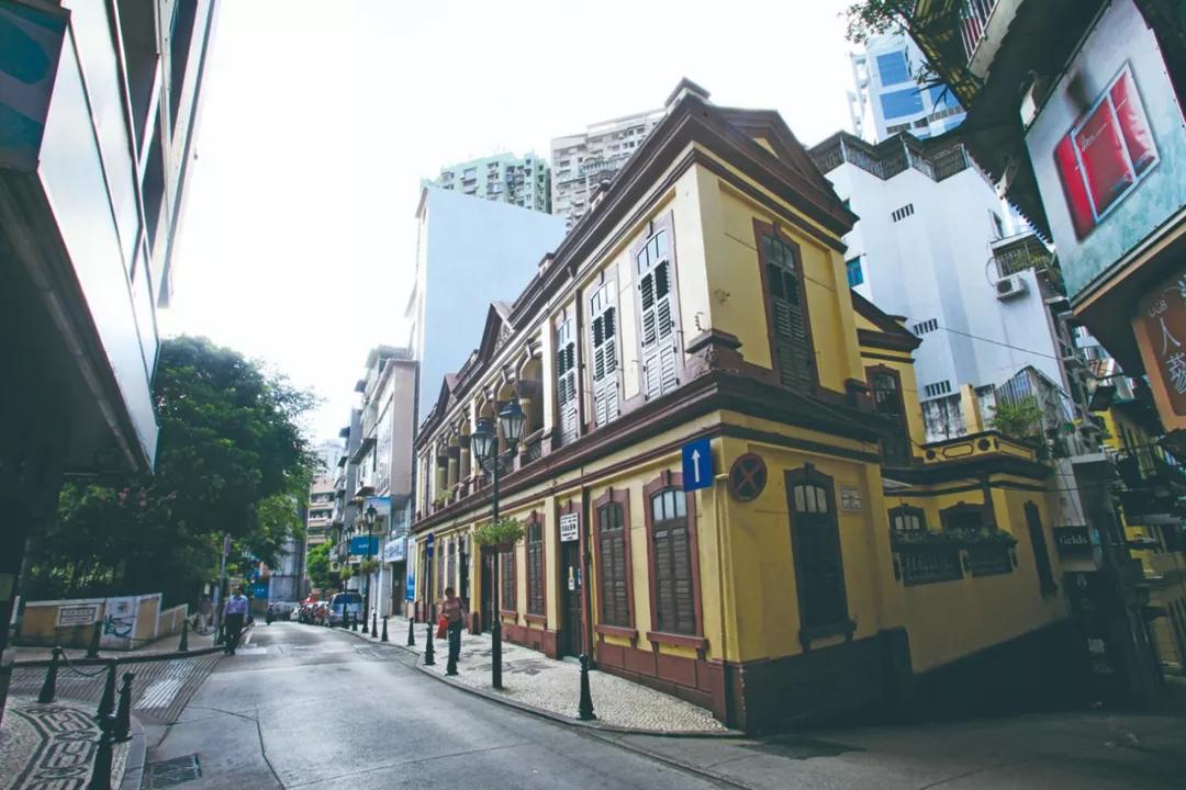 澳門今晚必開一肖，揭秘生肖運(yùn)勢(shì)與預(yù)測(cè)邏輯，澳門今晚生肖預(yù)測(cè)揭秘，生肖運(yùn)勢(shì)與預(yù)測(cè)邏輯分析