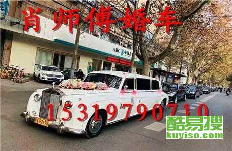 王中王車奪平特一肖免費(fèi)——深度解析與探索，王中王車奪平特一肖，深度解析與免費(fèi)探索