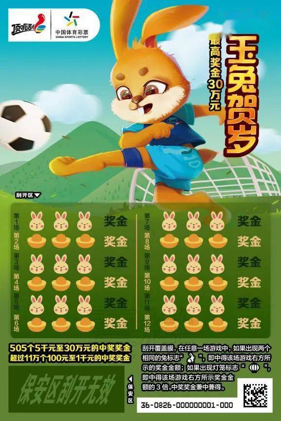 王中王一肖中特兔費(fèi)，探索關(guān)鍵詞背后的奧秘，探索關(guān)鍵詞王中王一肖中特兔費(fèi)背后的奧秘