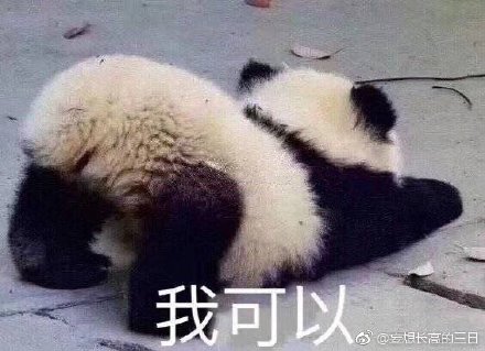 王中王四不像平一肖，揭秘背后的奧秘與策略，揭秘王中王四不像平一肖背后的奧秘與策略