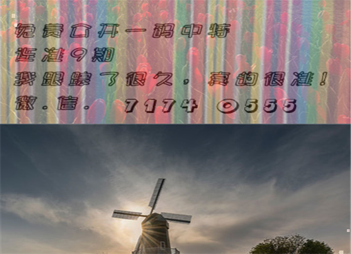 王中王四肖三期必出一期，揭秘彩票背后的秘密策略與技巧，揭秘彩票策略與技巧，王中王四肖三期必出一期之道