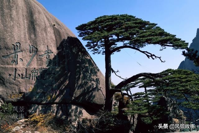 澳門(mén)四不像正版四不像網(wǎng)，探索真實(shí)與虛幻的交融之地，澳門(mén)四不像正版探索，真實(shí)與虛幻的交融世界