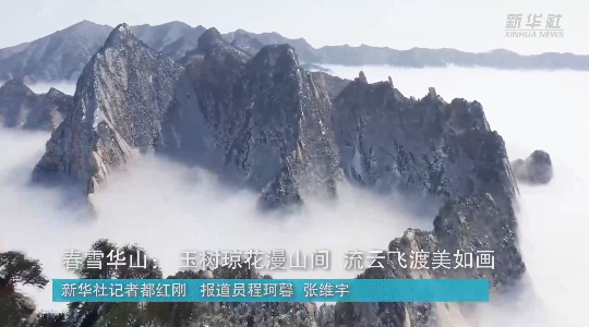 澳門最精準(zhǔn)龍門，探索真正的精準(zhǔn)之道，澳門最精準(zhǔn)龍門，揭秘真正的精準(zhǔn)之道