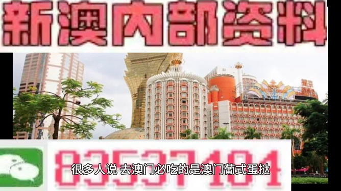 新澳門三中三碼精準預(yù)測，揭秘百分百準確率的秘密，揭秘新澳門三中三碼精準預(yù)測，百分百準確率背后的秘密