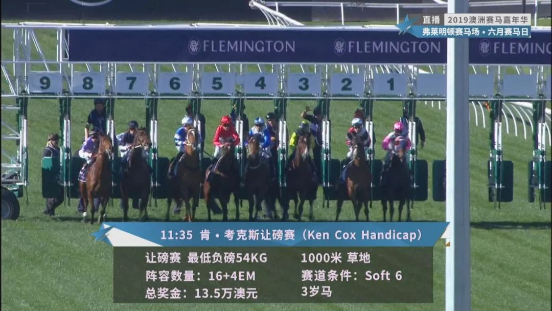 賽馬澳門六月開獎結(jié)果，探索與期待，澳門六月賽馬開獎揭曉，探索結(jié)果引期待