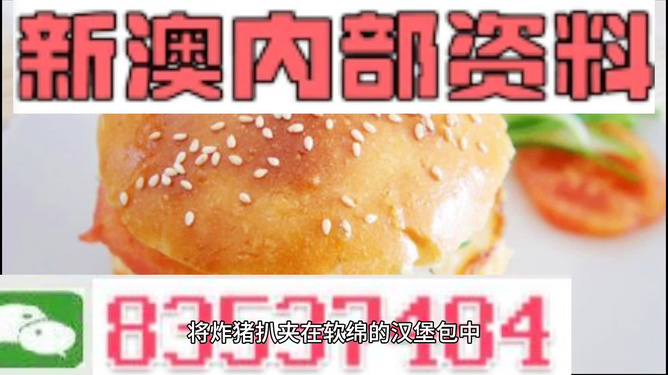2025新澳正版資料精準(zhǔn)解析，2025新澳正版資料精準(zhǔn)解析手冊