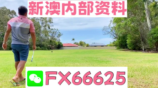 王中王一碼二肖，揭秘背后的秘密，揭秘王中王一碼二肖背后的秘密