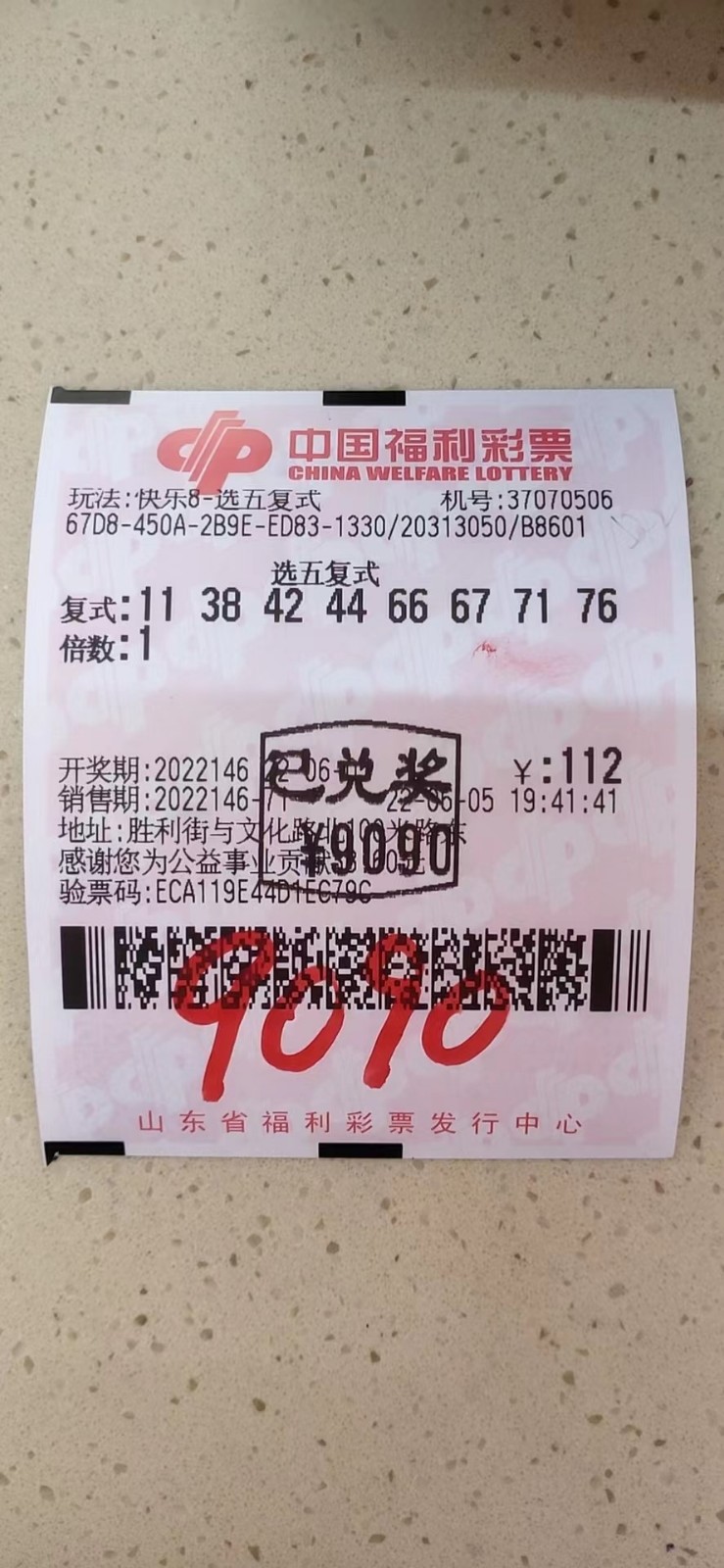 揭秘002期王中王平特一肖，背后的故事與奧秘，揭秘王中王平特一肖背后的故事與奧秘（第002期）