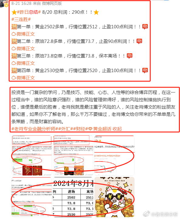 王中王富婆中一肖——揭秘背后的故事與真相，揭秘王中王富婆中一肖背后的真相與故事