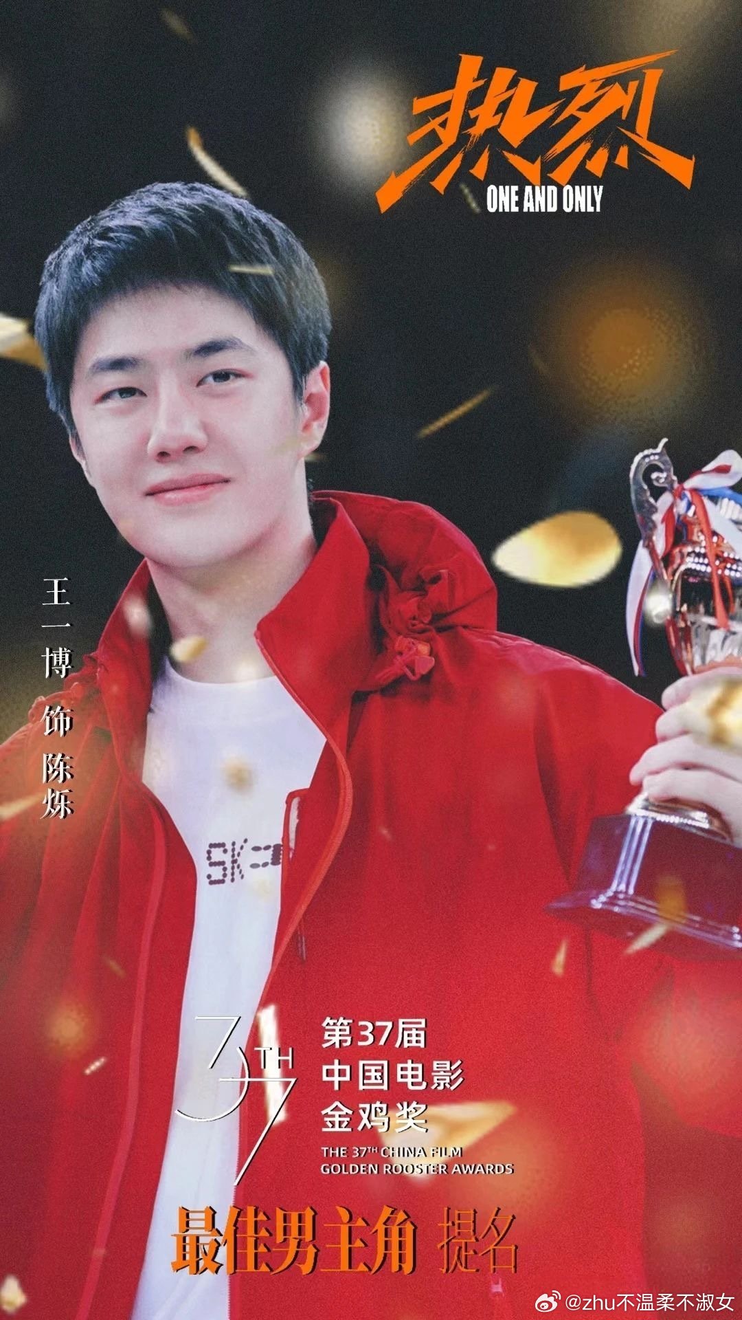 王中王一肖一特一中一中，探尋背后的故事與奧秘，探尋王中王一肖背后的故事與奧秘