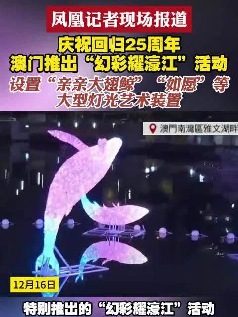 新澳門六開獎結果查詢濠江論壇——快速獲取開獎信息的首選平臺，澳門六開獎結果查詢首選平臺，濠江論壇快速更新開獎信息