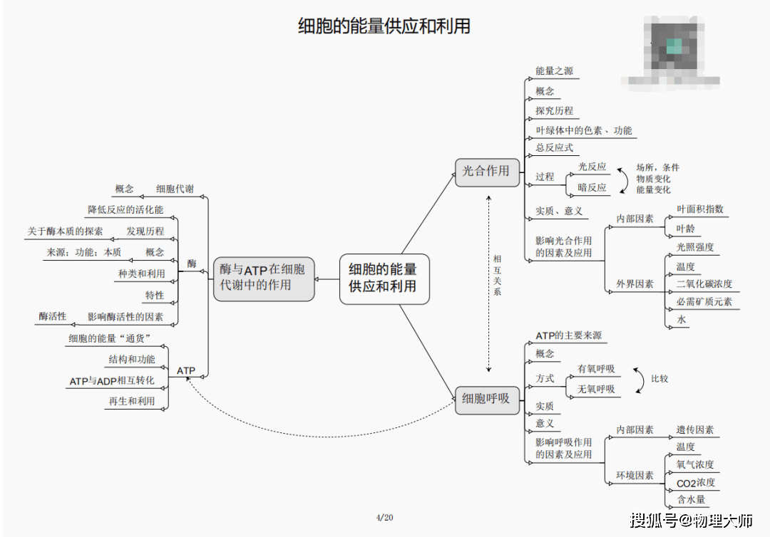 澳門管家婆三期必開一特，揭秘背后的秘密與策略，澳門管家婆三期必開一特揭秘，背后的秘密與策略全解析
