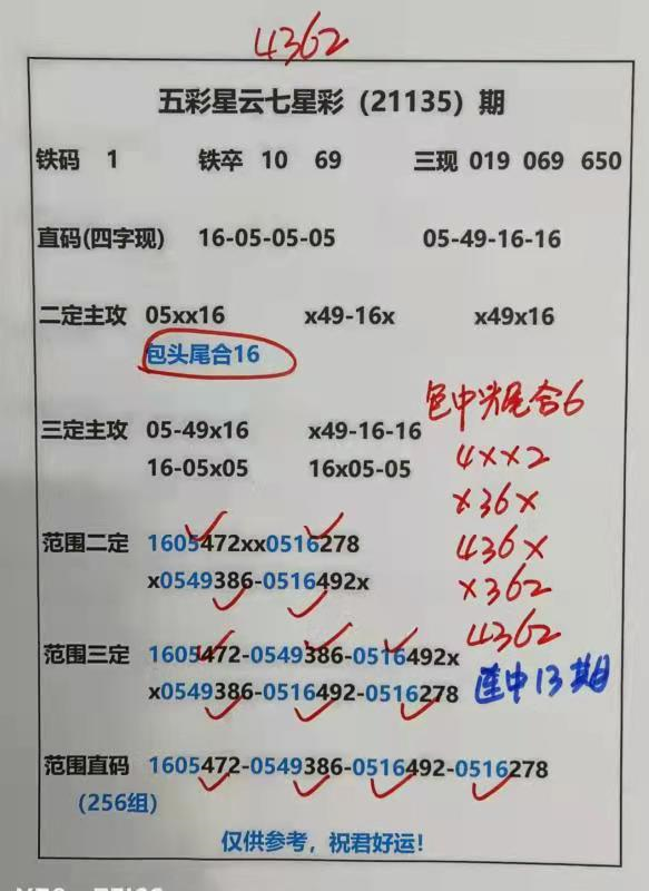 迎接美好未來，2025天天好彩，迎接美好未來，2025年天天精彩無限