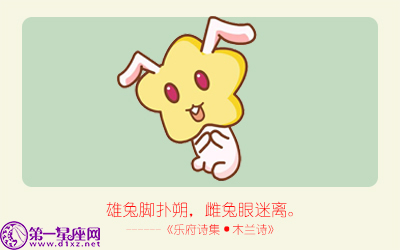 揭秘精準(zhǔn)生肖，探尋神奇的數(shù)字組合777778與888888背后的生肖秘密，揭秘生肖秘密，數(shù)字組合777778與888888背后的生肖傳奇