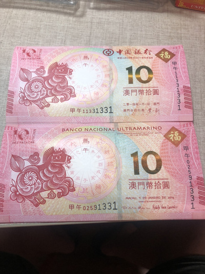 揭秘明天澳門必中生肖的神秘面紗，揭秘明天澳門必中生肖的神秘秘密