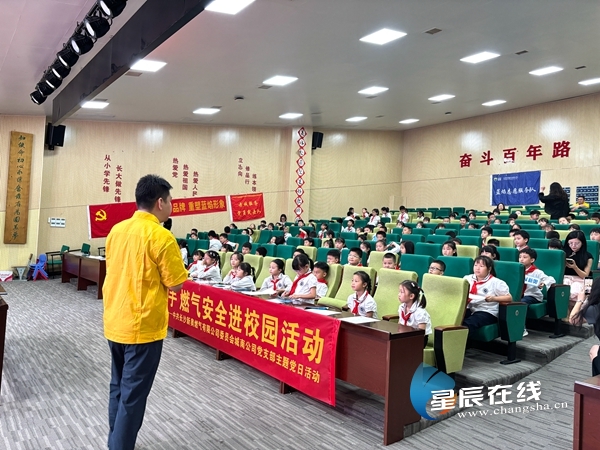 新奧正版資料的SEO優(yōu)化文章，新奧正版資料的SEO優(yōu)化指南