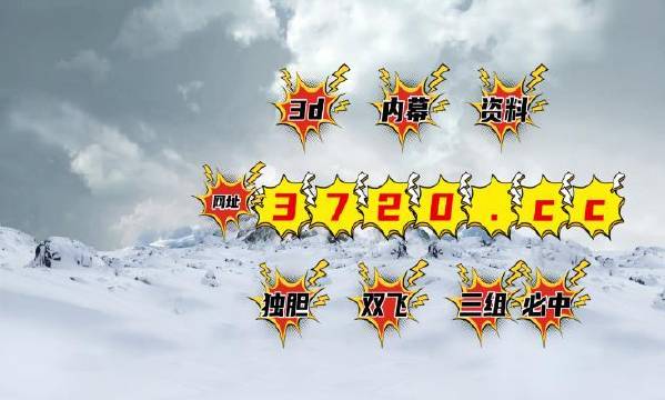 揭秘4887王中王精準資料，全方位解讀，讓你贏在起跑線，揭秘王中王精準資料，全方位解讀助你贏在起跑線