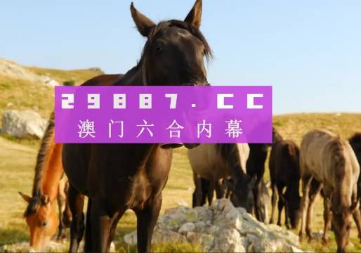 澳門管家婆一肖中特與香港阿飛免費印刷圖庫的獨特魅力 —— 2024澳門天天開好彩大全探索，澳門管家婆與香港阿飛圖庫魅力探索，2024澳門天天彩好彩大全揭秘