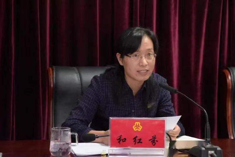 二四六香港期期中的資料解析與SEO優(yōu)化策略，香港期期二四六資料解析與SEO優(yōu)化策略探討