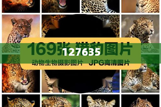 精準(zhǔn)新傳真，揭秘?cái)?shù)字組合7777788888的神秘面紗，揭秘?cái)?shù)字組合7777788888的神秘面紗，精準(zhǔn)新傳真解讀