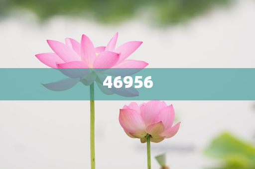 新奧集團，邁向2025，天天開好彩的愿景與挑戰(zhàn)，新奧集團邁向2025，實現(xiàn)天天開好彩的愿景與挑戰(zhàn)