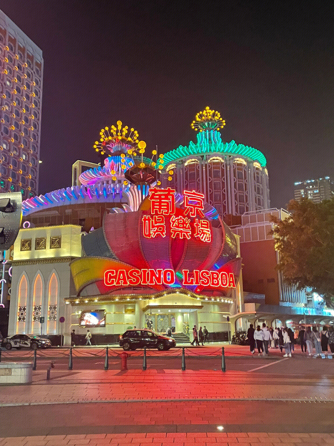 澳門今晚必開一肖一特芳草地，探索生肖與運勢的神秘面紗，澳門生肖運勢揭秘，探索今晚必開一肖一特芳草地神秘面紗的運勢之旅