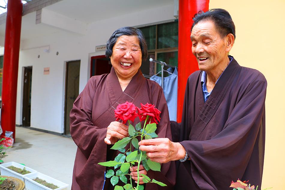 揭秘最準一碼一肖，揭秘背后的秘密與真相，鳳凰網(wǎng)獨家報道，獨家揭秘，最準一碼一肖背后的秘密真相（鳳凰網(wǎng)報道）